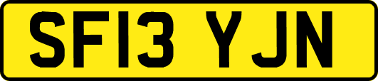 SF13YJN