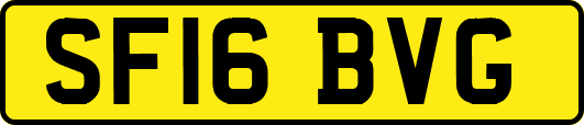 SF16BVG