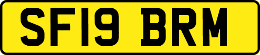 SF19BRM