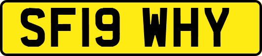 SF19WHY