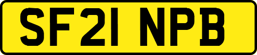 SF21NPB