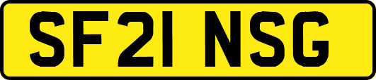 SF21NSG