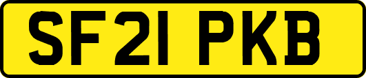 SF21PKB