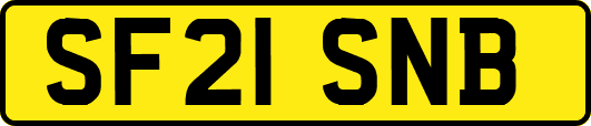 SF21SNB