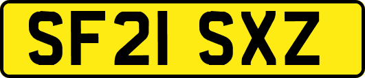 SF21SXZ