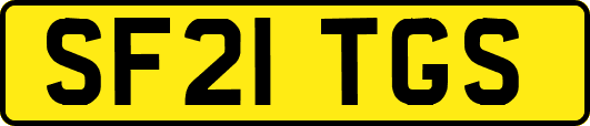 SF21TGS