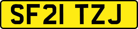 SF21TZJ