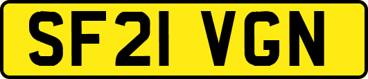 SF21VGN