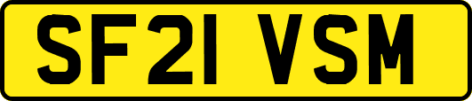 SF21VSM