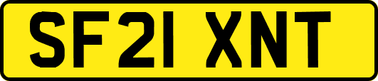SF21XNT