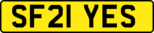 SF21YES