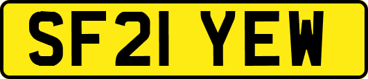 SF21YEW