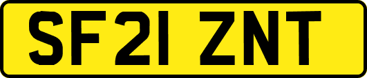 SF21ZNT