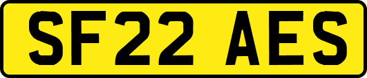 SF22AES