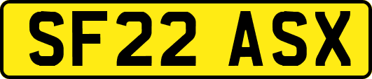 SF22ASX