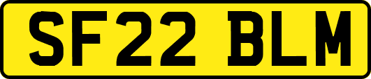 SF22BLM