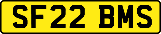 SF22BMS