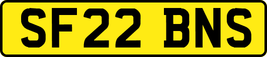 SF22BNS