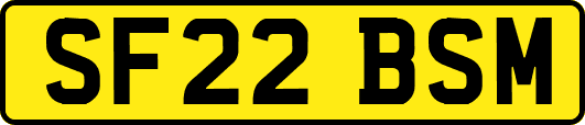 SF22BSM