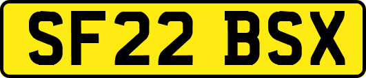 SF22BSX