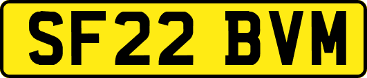 SF22BVM