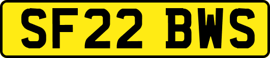 SF22BWS
