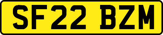 SF22BZM
