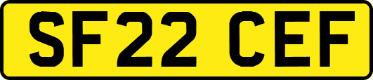 SF22CEF
