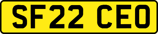 SF22CEO