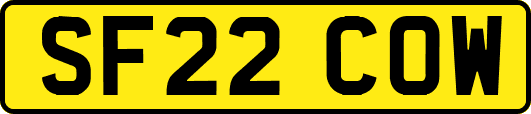 SF22COW