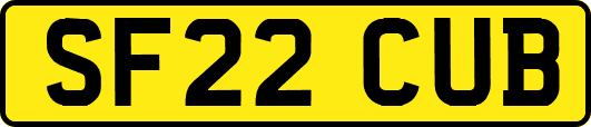 SF22CUB