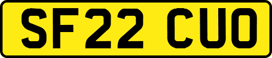 SF22CUO