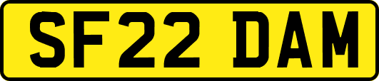SF22DAM