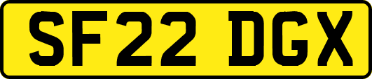 SF22DGX