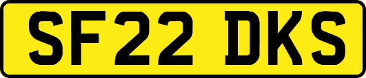 SF22DKS