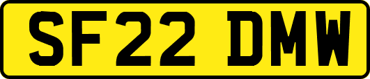 SF22DMW