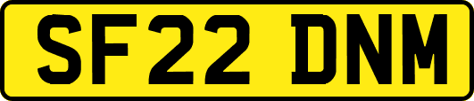 SF22DNM