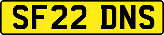 SF22DNS