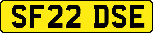 SF22DSE