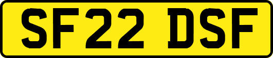 SF22DSF