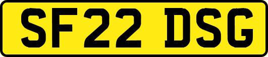 SF22DSG