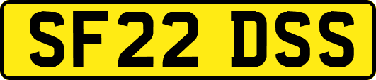 SF22DSS