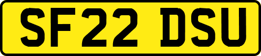 SF22DSU