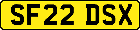 SF22DSX