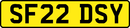 SF22DSY