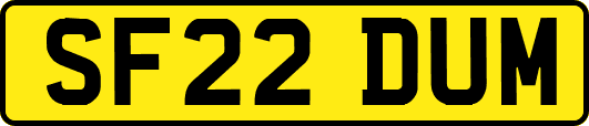 SF22DUM