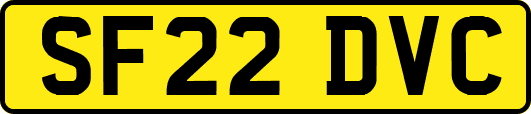 SF22DVC