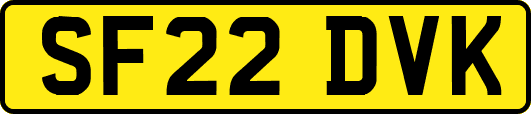 SF22DVK