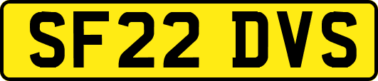 SF22DVS