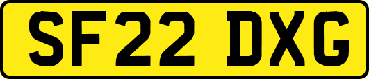 SF22DXG